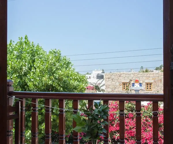 Zacharo ホテル 2*